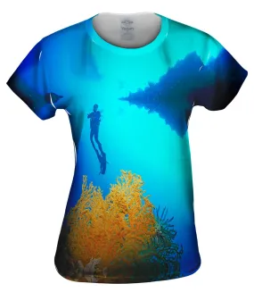 Reef Forests Palau Underwater