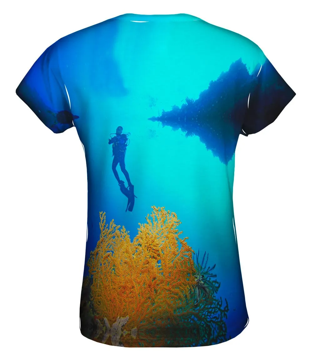 Reef Forests Palau Underwater