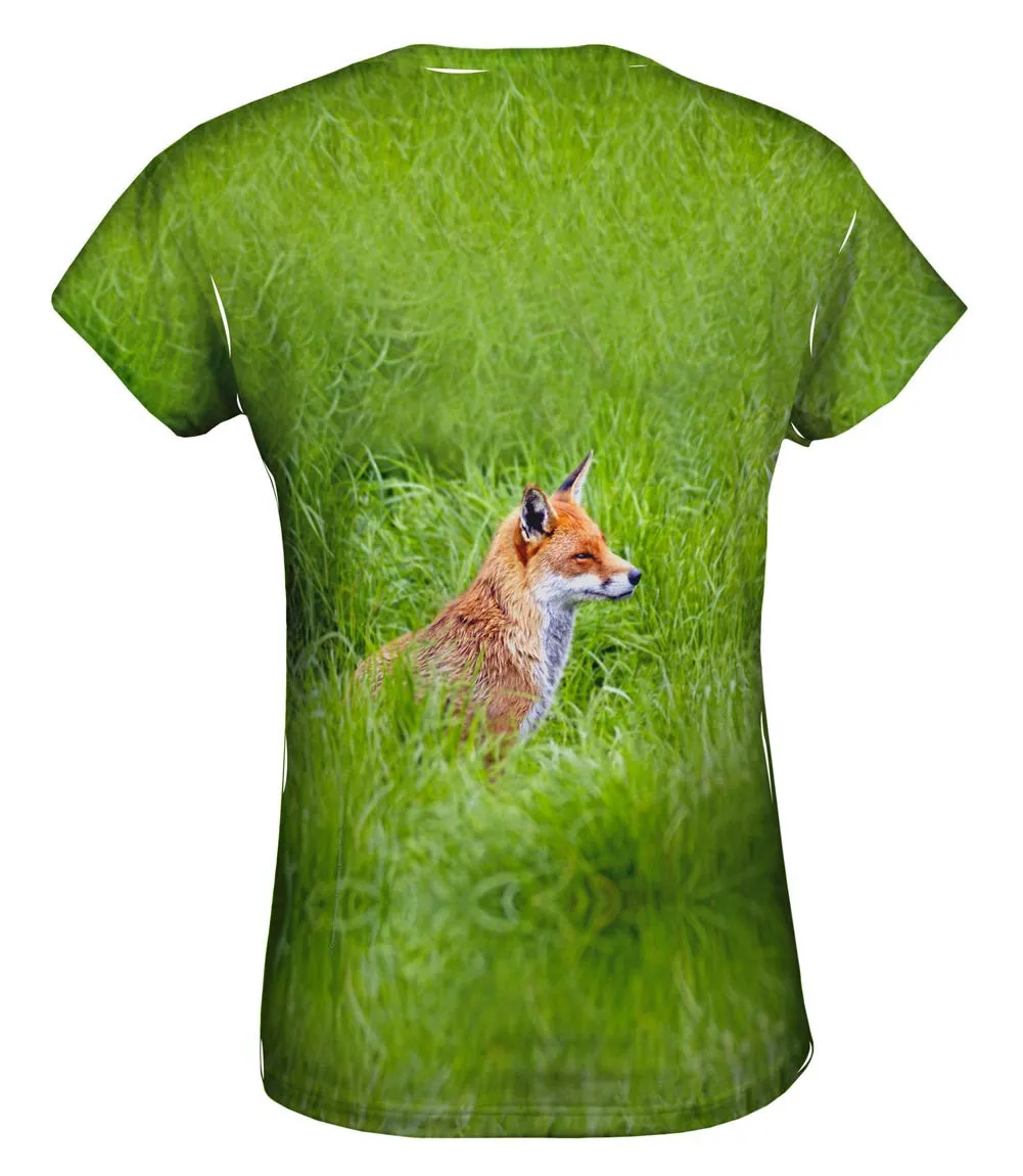 Sly Fox Watching