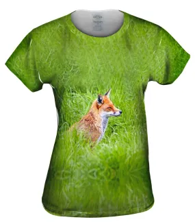 Sly Fox Watching