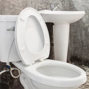 Toilet Bombs House Made